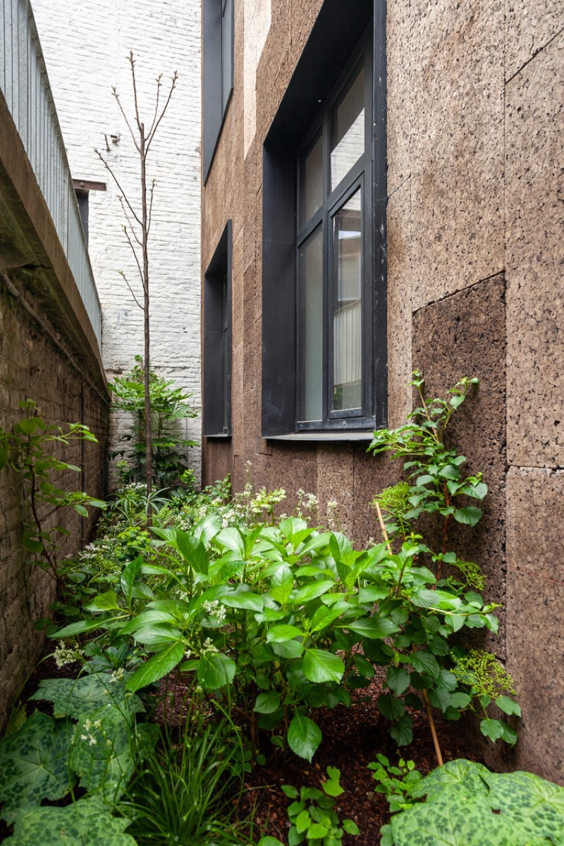 architecture-contemporaine-eden-centre-creation-artistique-culturel-charleroi-reservoir-a-extension-rénovation-jardin-eden