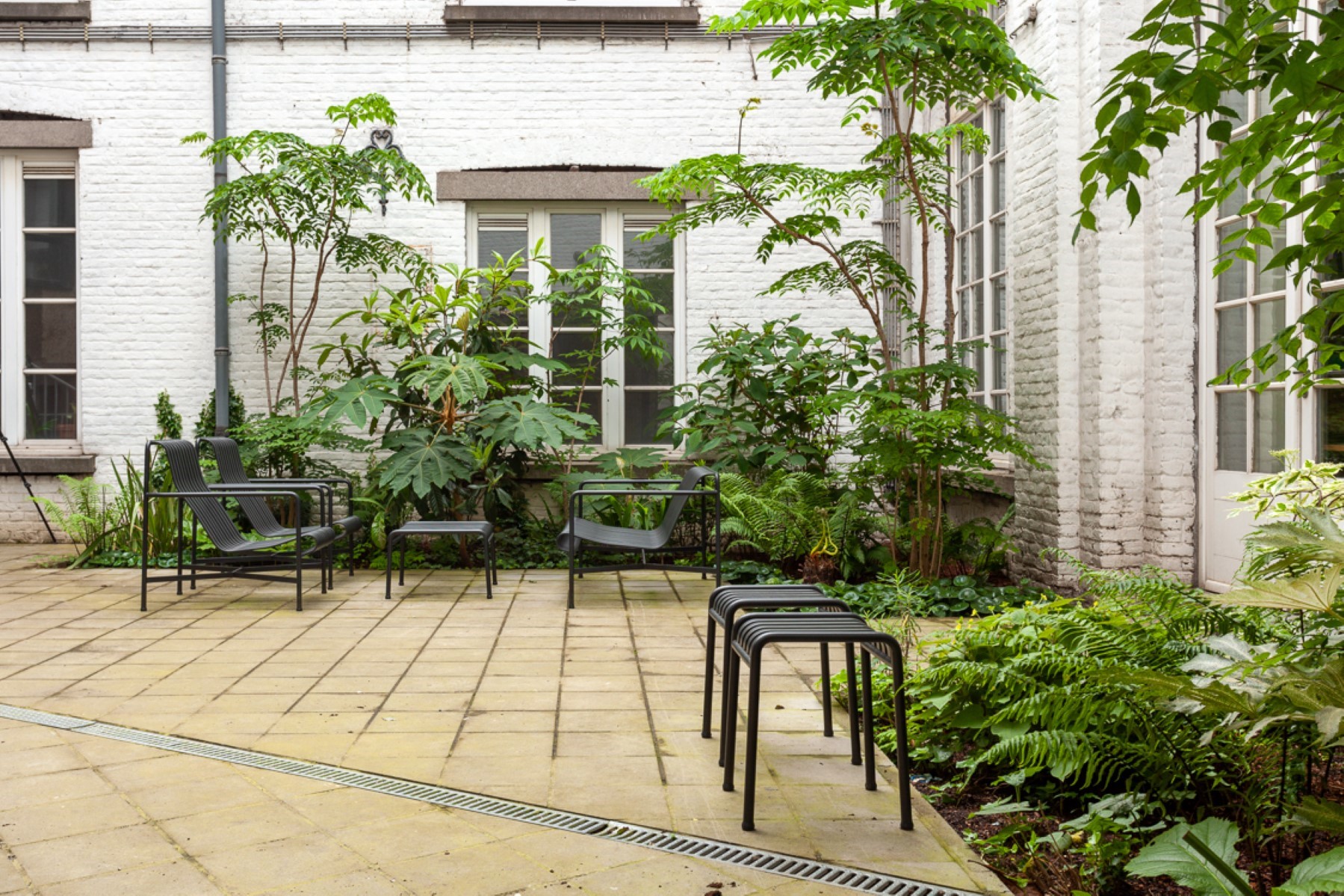 architecture-contemporaine-eden-centre-creation-artistique-culturel-charleroi-reservoir-a-extension-rénovation-jardin-eden