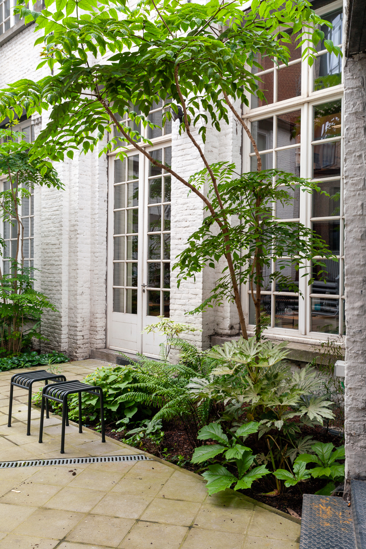 architecture-contemporaine-eden-centre-creation-artistique-culturel-charleroi-reservoir-a-extension-rénovation-jardin-eden