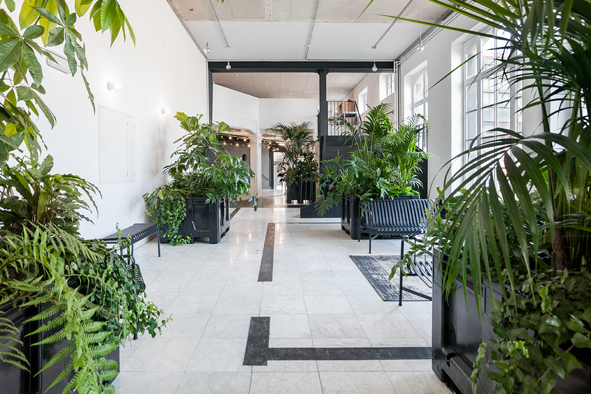 architecture contemporaine, rénovation, centre culturel Eden Charleroi, création artistique, jardin intérieur