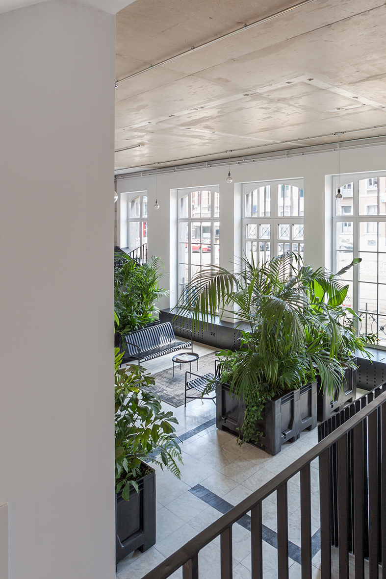 architecture contemporaine, rénovation, centre culturel Eden Charleroi, création artistique, jardin intérieur