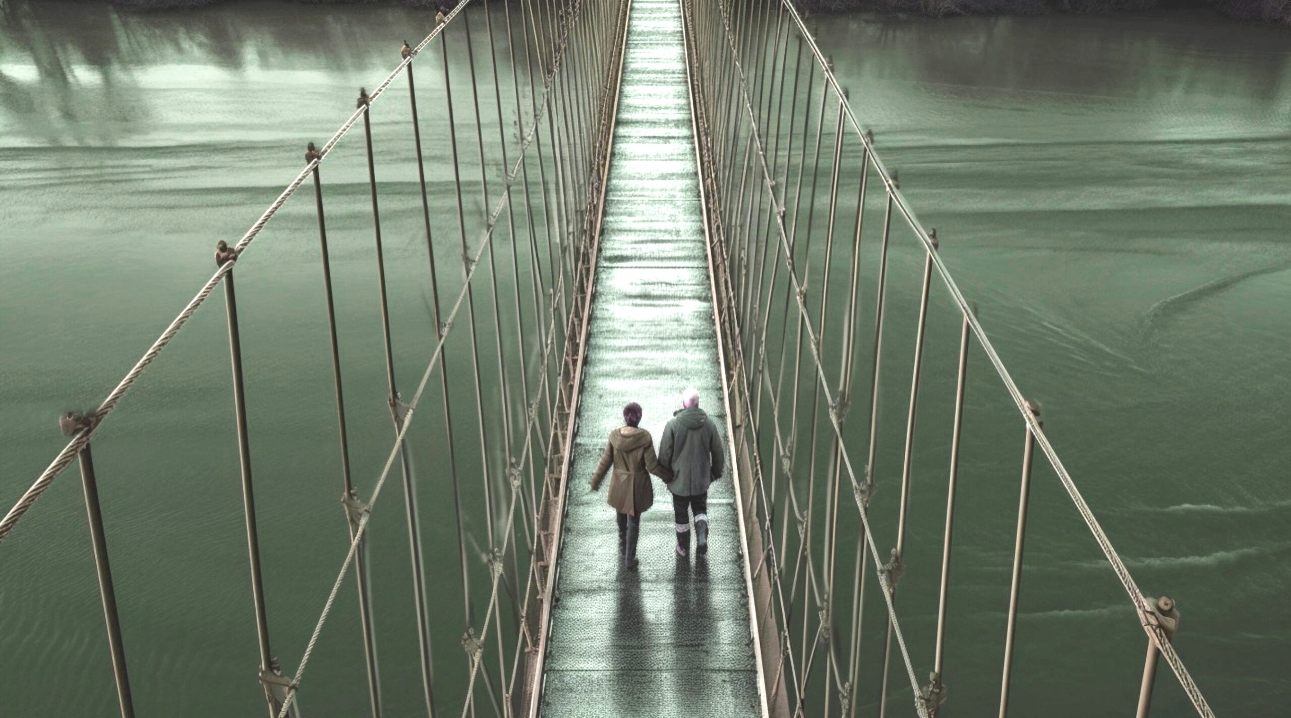 urbanisme-contemporain-nature-charleroi-metropole-carbonifère-vue-passerelle