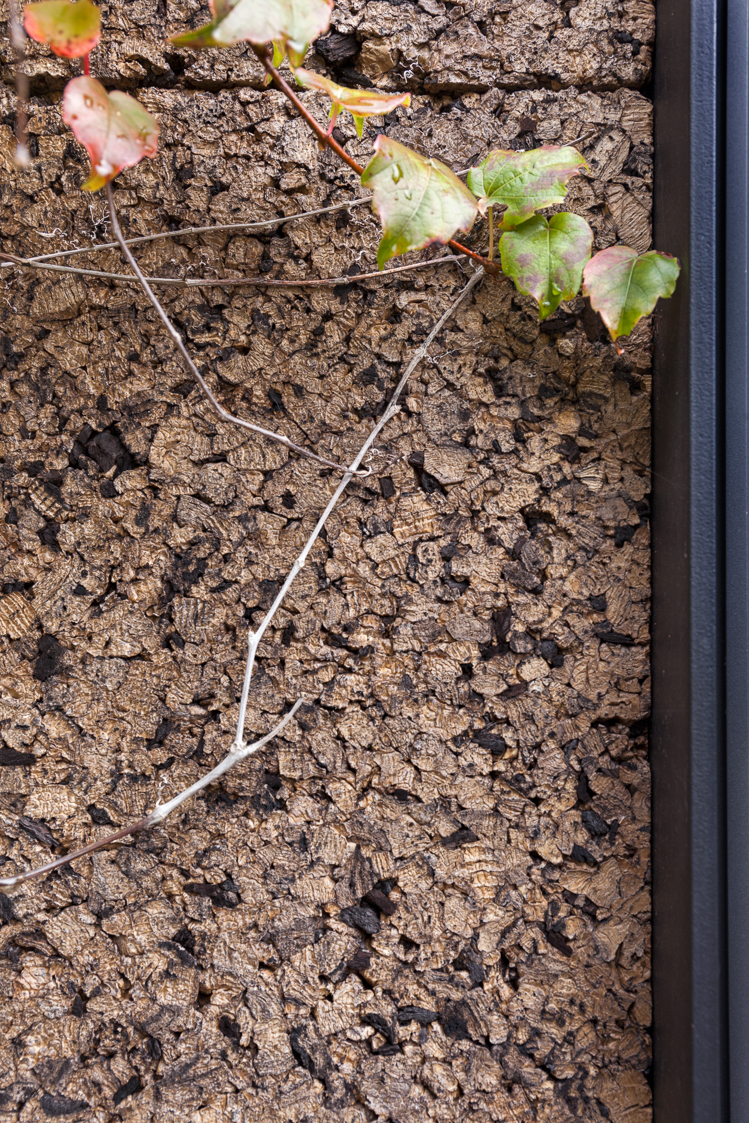 architecture-contemporaine-maison-unifamiliale-façade-liège-aménagements-intérieurs-rénovation-biosourcé-détail-façade