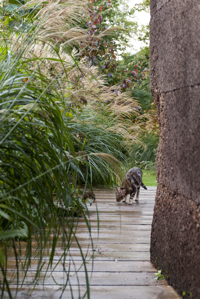 architecture-contemporaine-maison-unifamiliale-façade-liège-aménagements-intérieurs-rénovation-biosourcé-terrasse-jardin