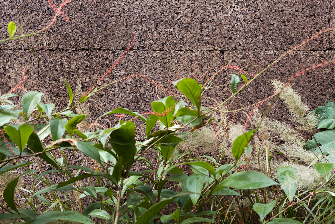 architecture-contemporaine-maison-unifamiliale-façade-liège-aménagements-intérieurs-rénovation-biosourcé-détail-façade