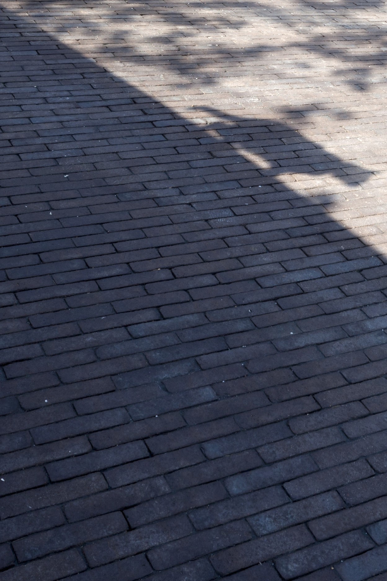 architecture-contemporaine-aménagement -urbain-paysager-brique-vernissée-monument-mémorial-dutroux-julie-melissa-photo-chat